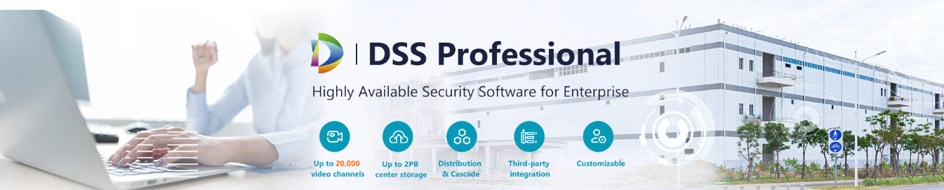 DSS Professional 