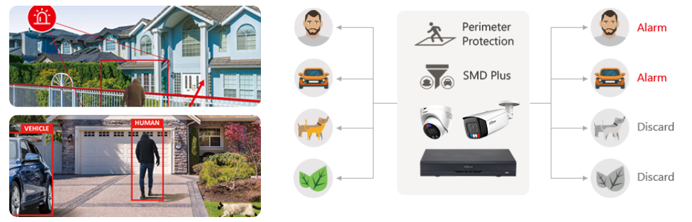 Perimeter Protection, SMD Plus