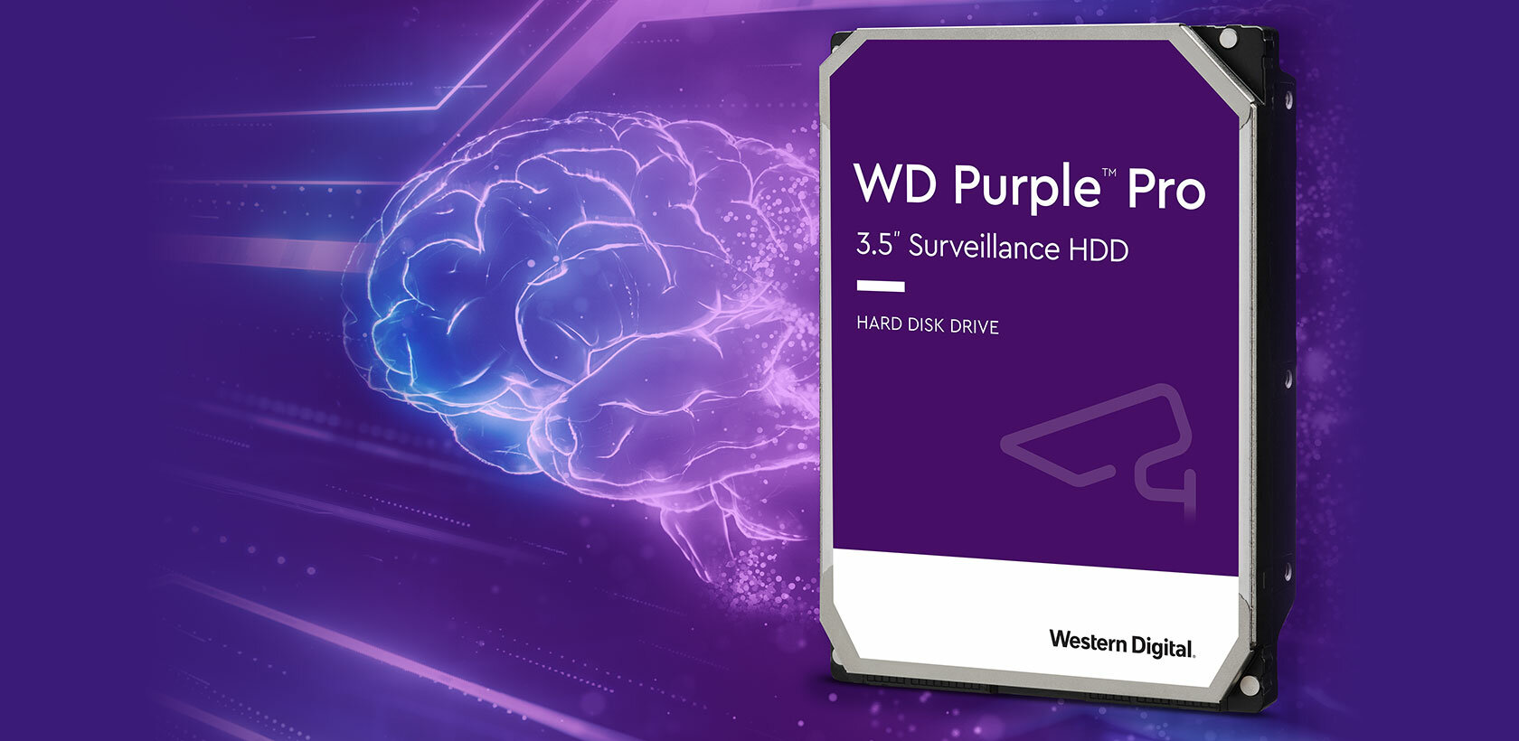 Western Digital Purple Pro